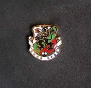 Futbol znachka BFSC